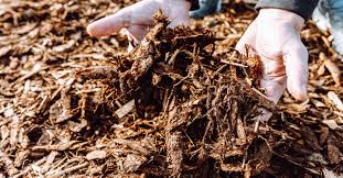 Organic Mulch